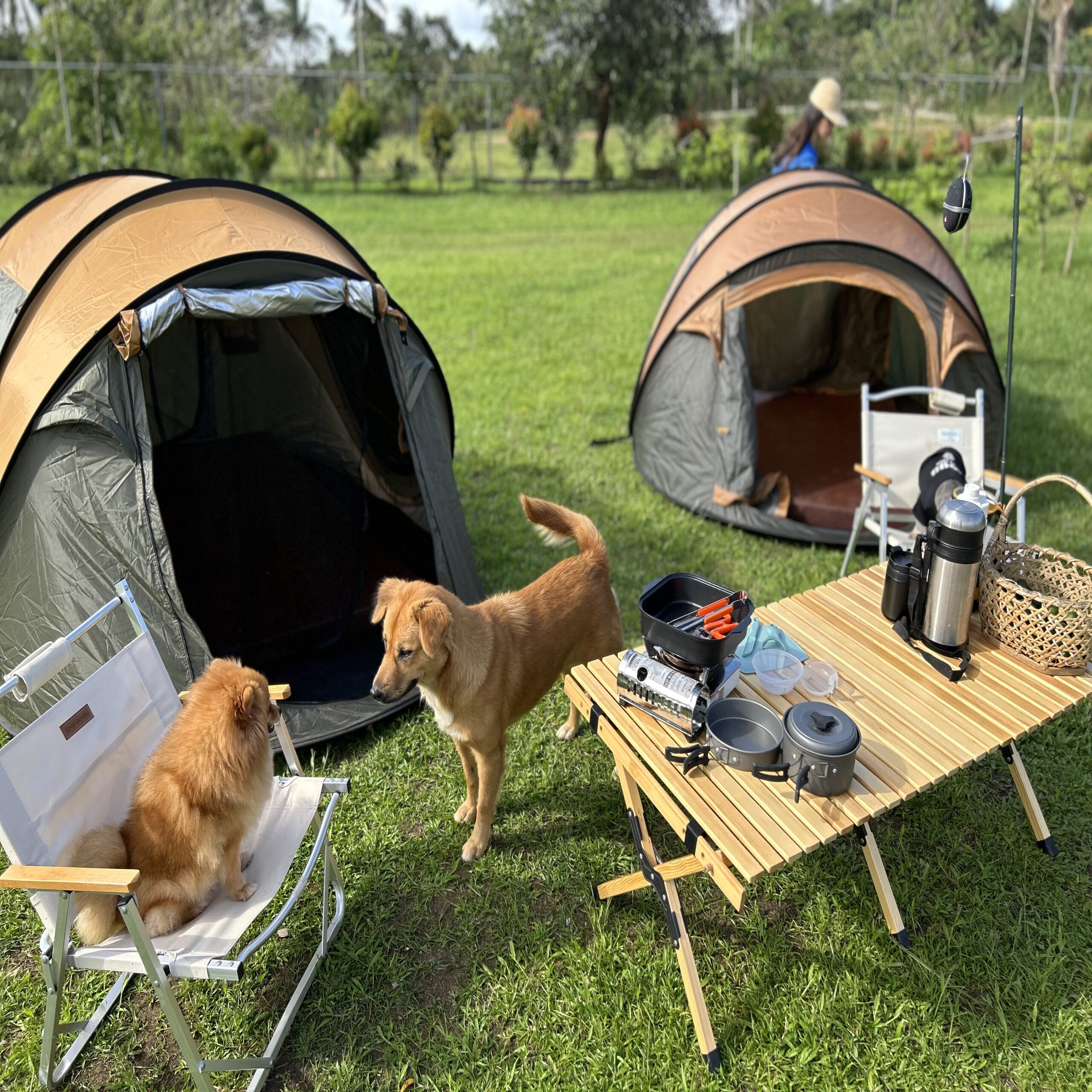 Eljoys Forest Resort pet-friendly accommodation - Family-friendly resort experience in Alfonso, Cavite